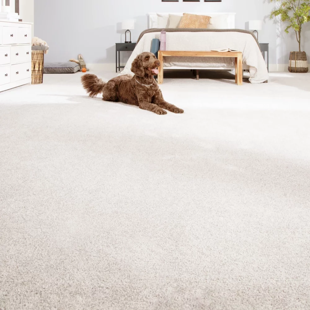 28850 907 rhino phase 3 campaign image 10 fullQuality square | Jordans Flooring