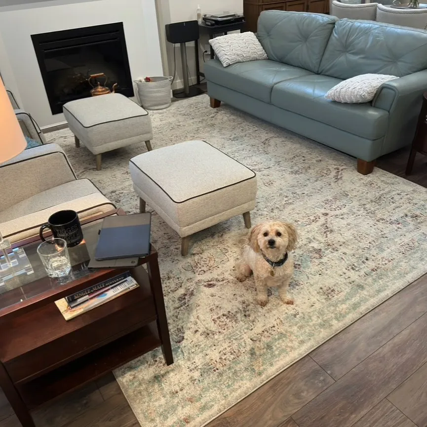Antiquity machine made rug 1 | Jordans Flooring