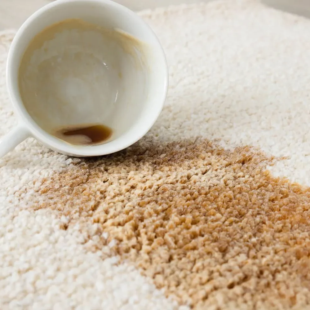 A close-up of a large coffee spill and stain spreading across a light cream-colored shaggy area rug, with an empty cup lying nearby.