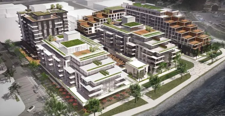 North Harbour by Concert Upcoming | Jordans Flooring